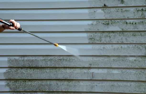 Animal Enclosure Cleaning in Woodbridge, CA